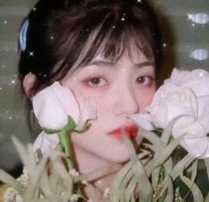 完美的旋律